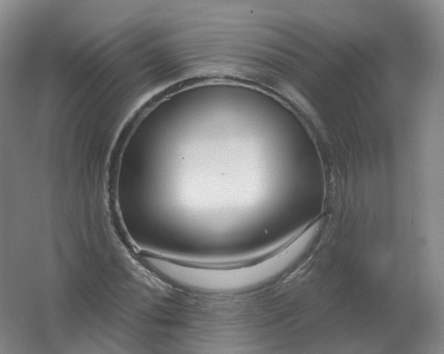 X0000062141020200512231459