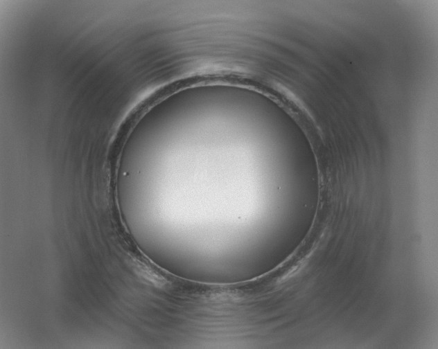 X0000062141021200512231459