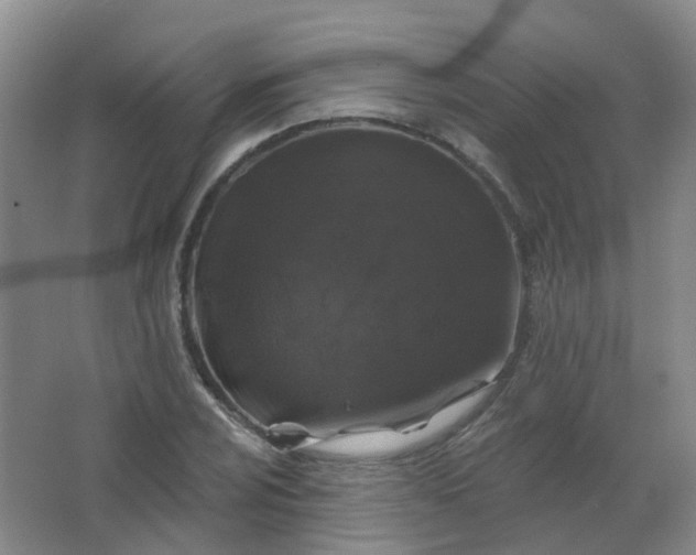 X0000062141024200512231459