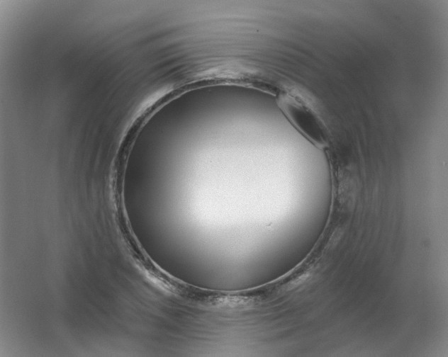 X0000062141026200512231459