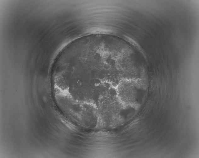 X0000062141027200512231459