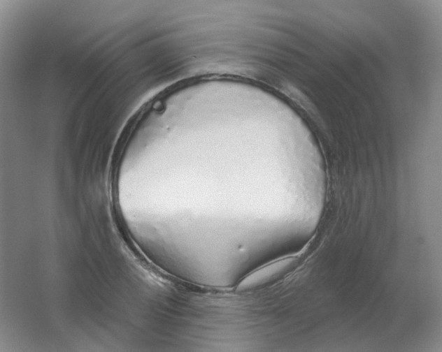 X0000062141028200512231459