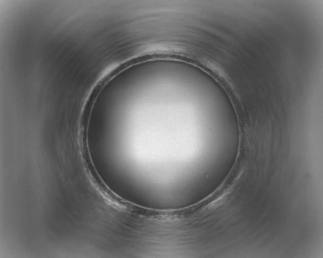 X0000062141029200512231459