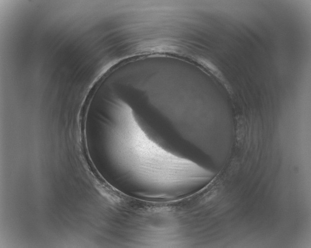 X0000062141031200512231459