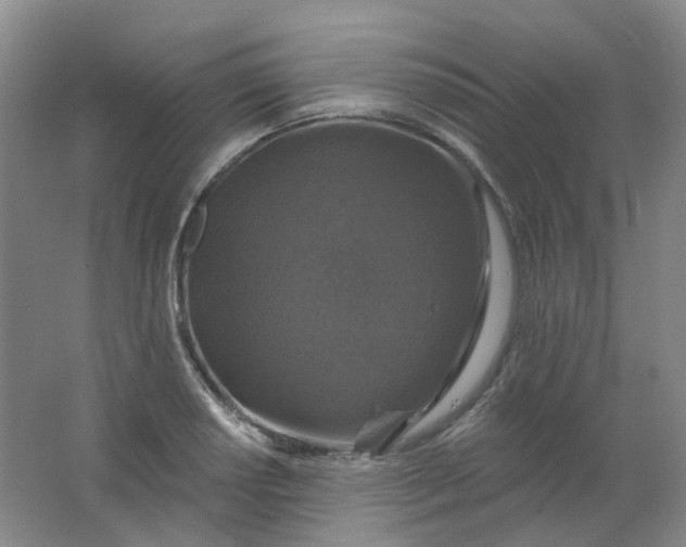 X0000062141034200512231459