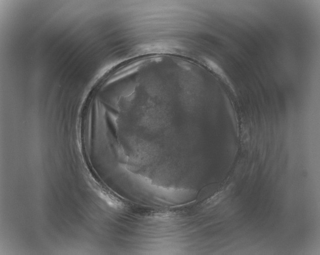 X0000062141035200512231459