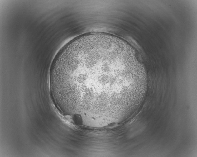 X0000062141036200512231459