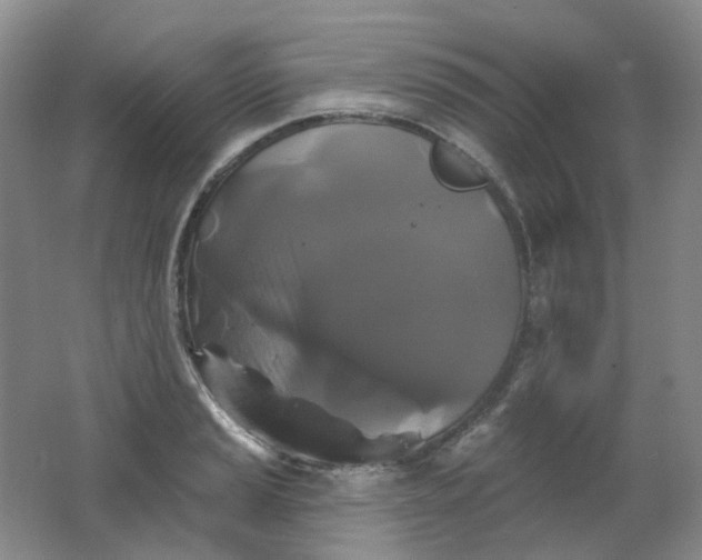 X0000062141037200512231459