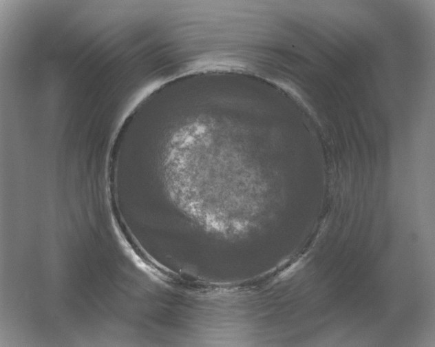 X0000062141038200512231459