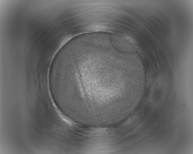 X0000062141039200512231459