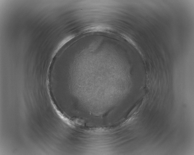 X0000062141042200512231459