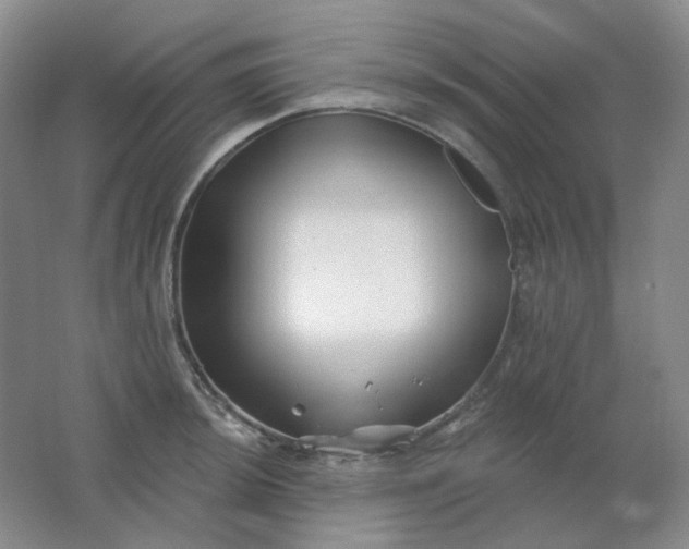 X0000062141044200512231459