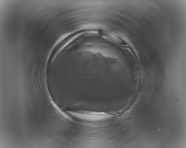 X0000062141045200512231500