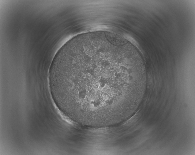 X0000062141047200512231500