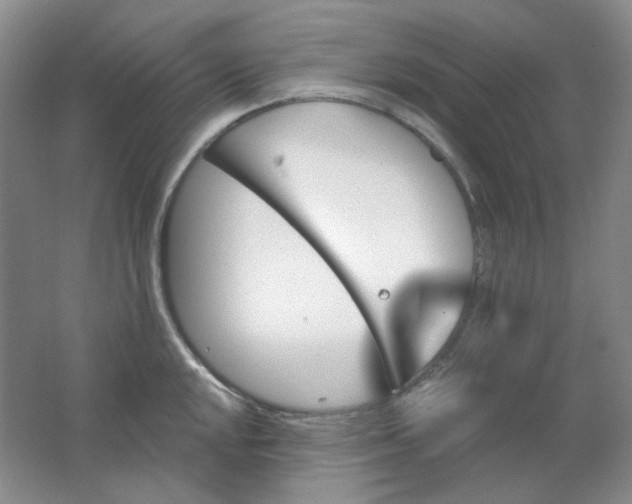 X0000062141048200512231500