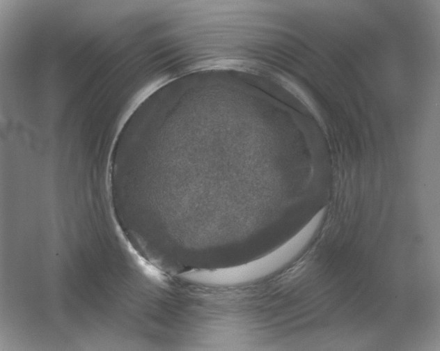 X0000062141050200512231500