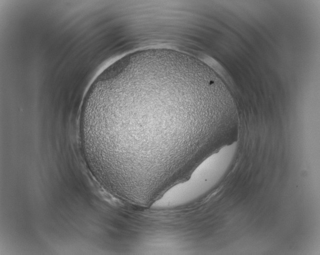 X0000062141052200512231500