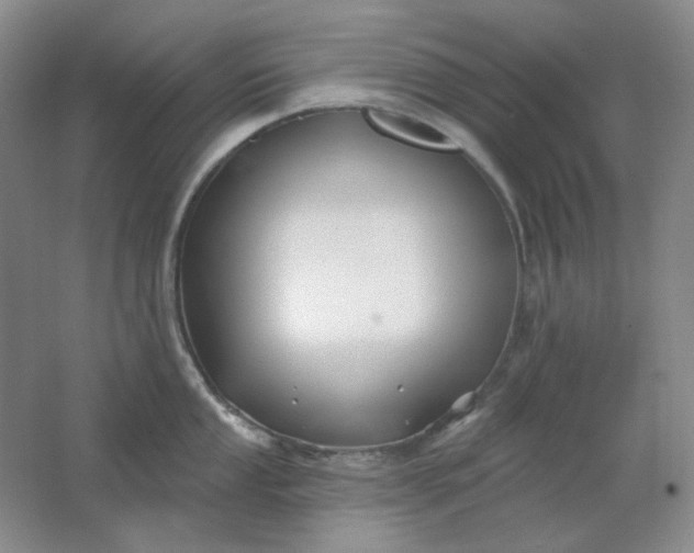 X0000062141053200512231500