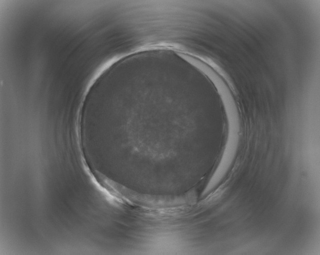 X0000062141054200512231500