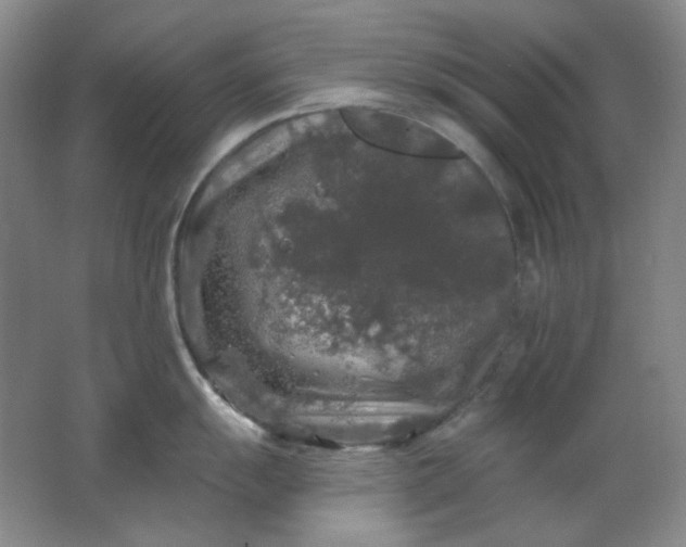 X0000062141055200512231500