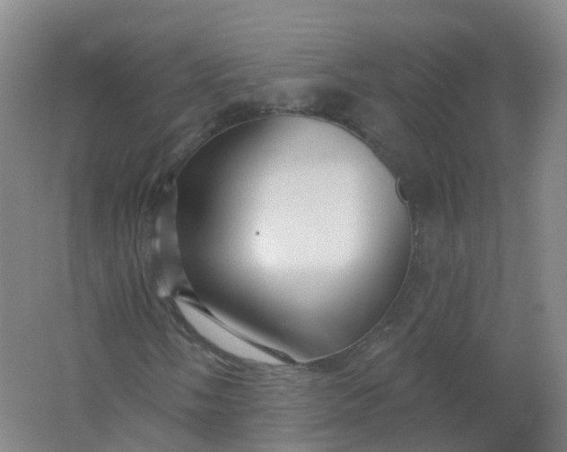 X0000062141058200512231459