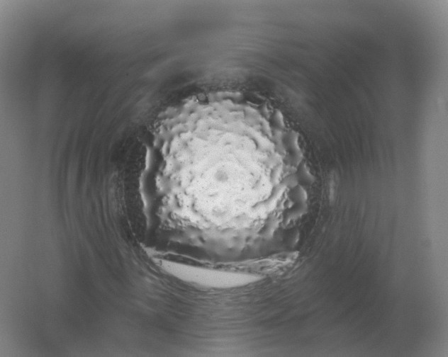 X0000062141059200512231459