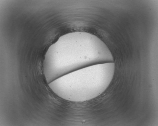 X0000062141060200512231459