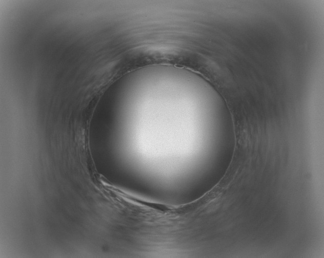 X0000062141061200512231459