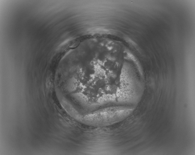 X0000062141063200512231459