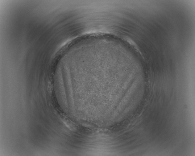 X0000062141064200512231459