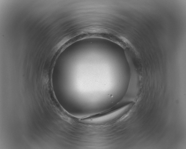 X0000062141065200512231459