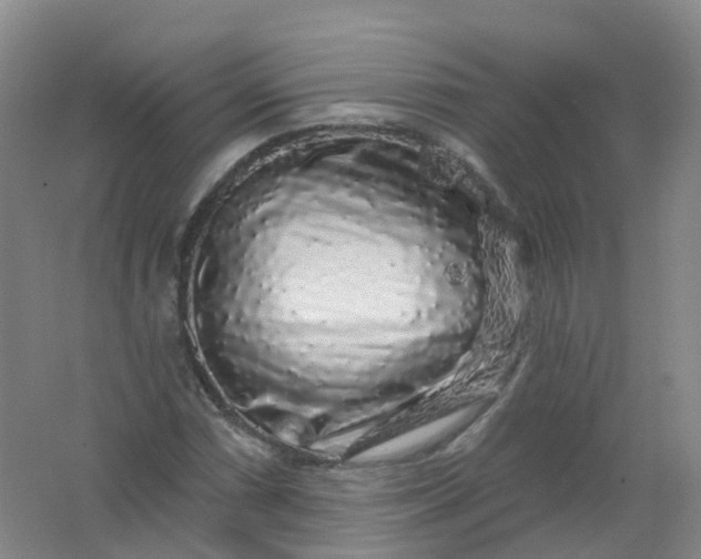 X0000062141066200512231459