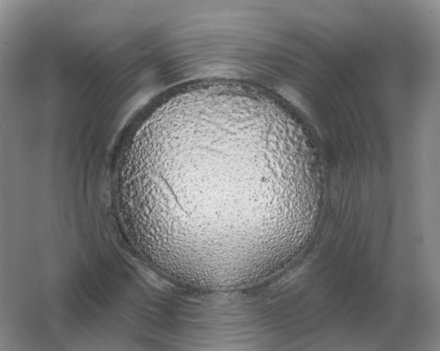 X0000062141067200512231459