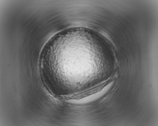 X0000062141068200512231459