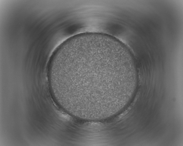 X0000062141070200512231459