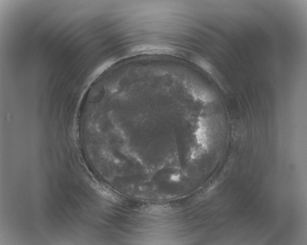 X0000062141074200512231459