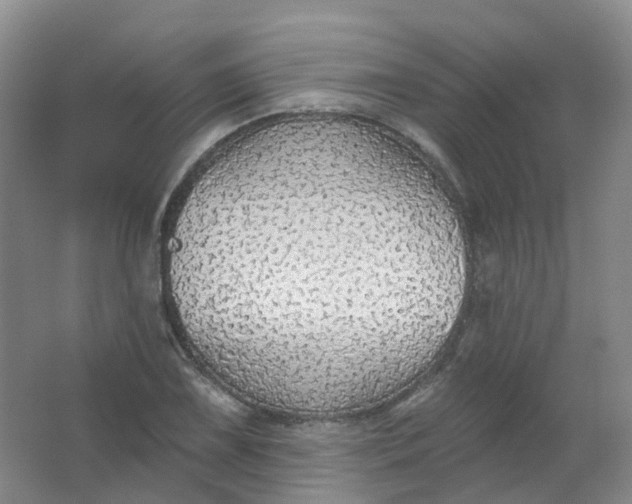 X0000062141075200512231459