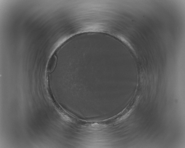 X0000062141077200512231459