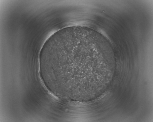 X0000062141079200512231458