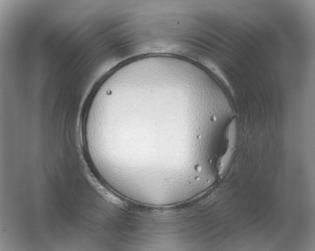 X0000062141080200512231458