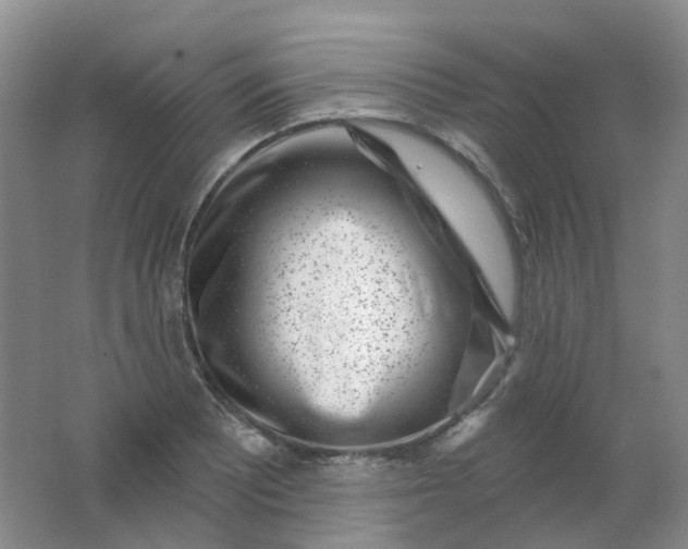 X0000062141081200512231458