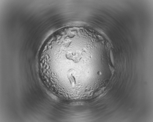 X0000062141083200512231458