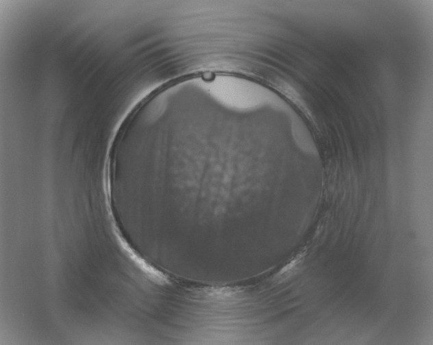 X0000062141084200512231458