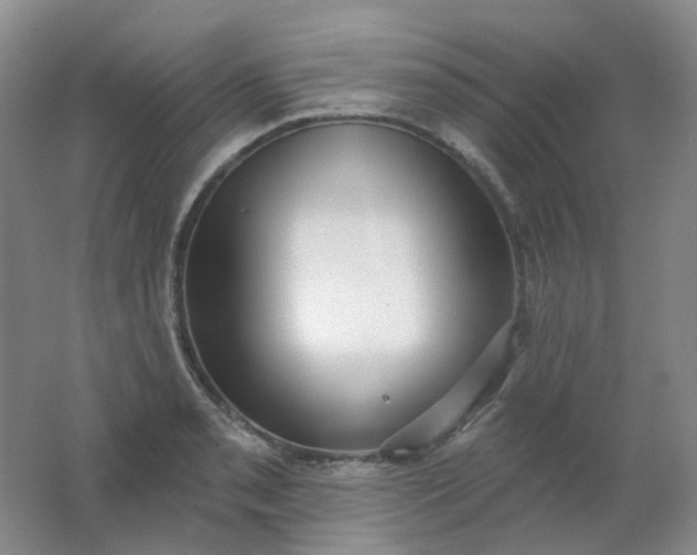 X0000062141085200512231458