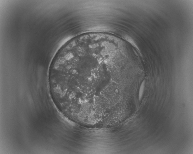 X0000062141087200512231458