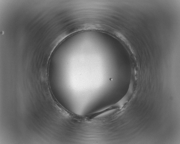 X0000062141089200512231458