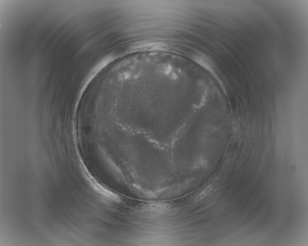 X0000062141090200512231458