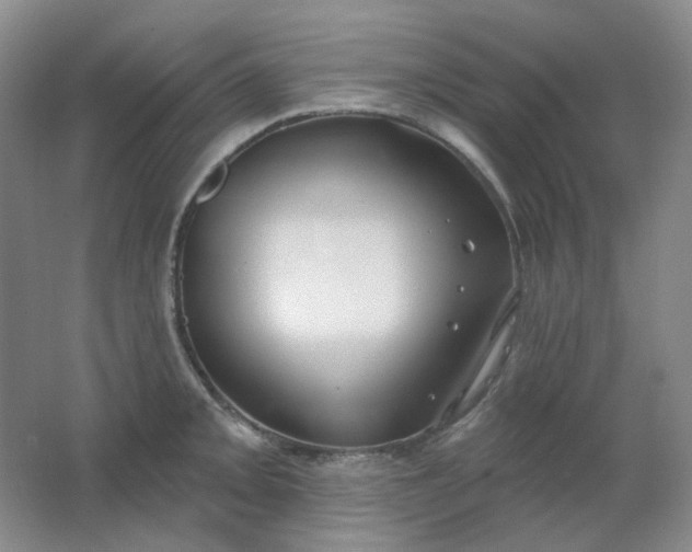 X0000062141093200512231458