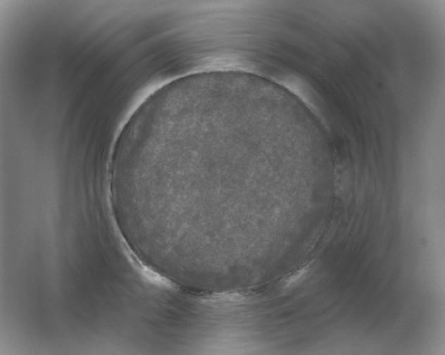 X0000062141094200512231458