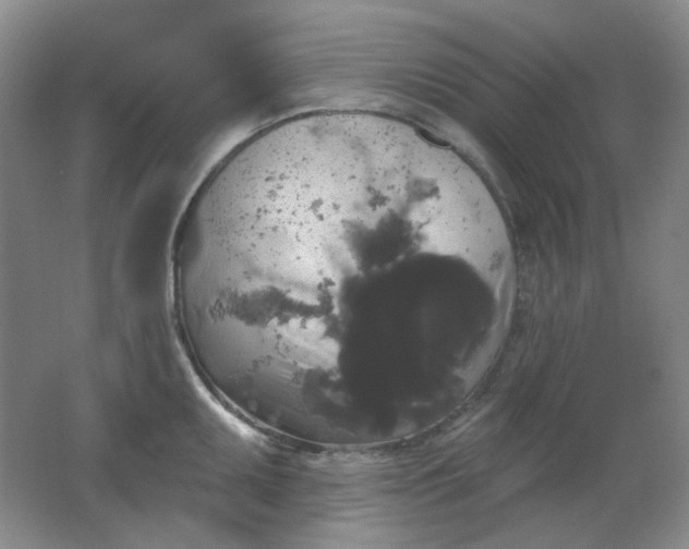 X0000062141095200512231458